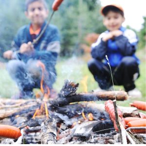 child and dependent care tax credit